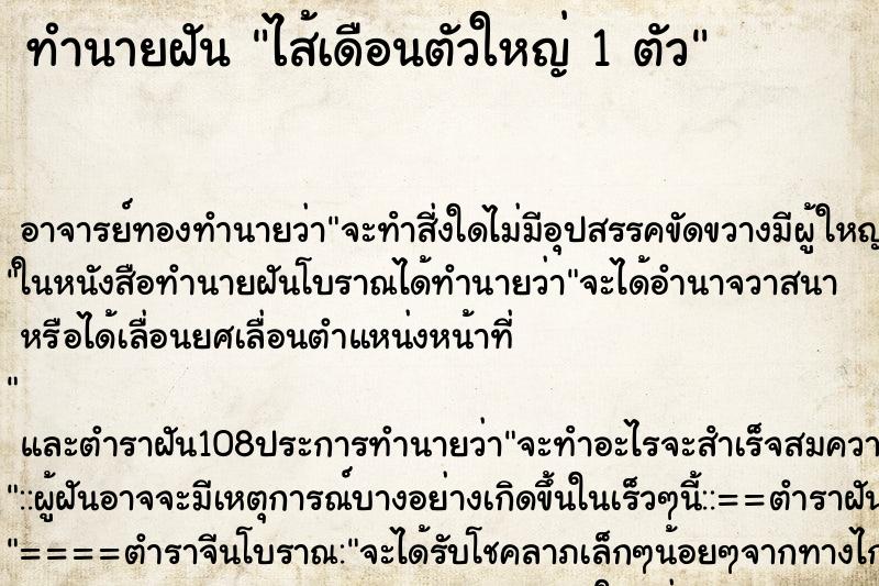 ทำนายฝัน ไส้เดือนตัวใหญ่ 1 ตัว ทำนายฝัน ไส้เดือนตัวใหญ่ 1 ตัว